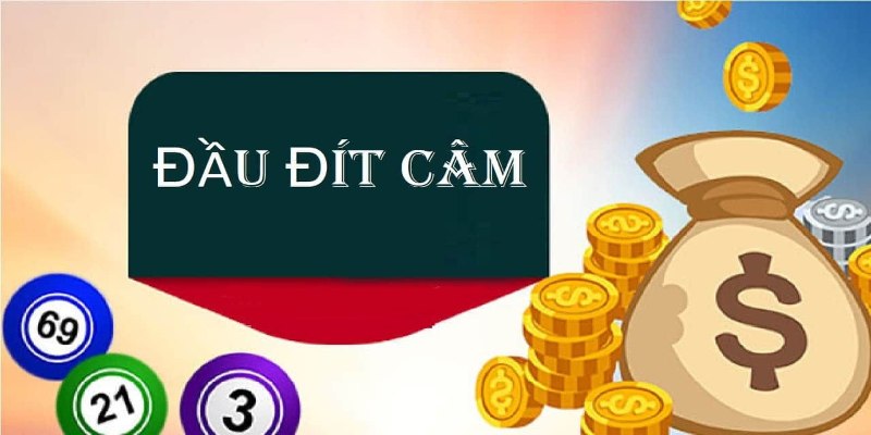 Nuôi khung 5 ngày theo đầu câm hoặc đuôi câm 