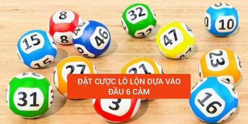 dat-cuoc-lo-de-dua-vao-dau-6-cam