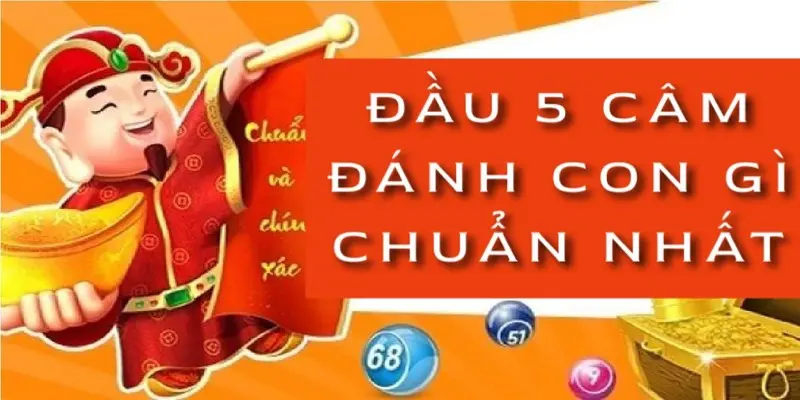 dau-5-cam-danh-con-gi-chuan-nhat