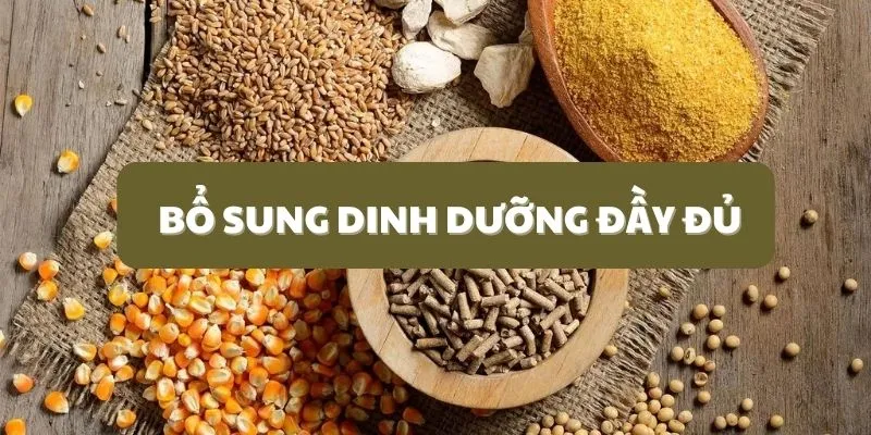 bo-sung-dinh-duong-day-du