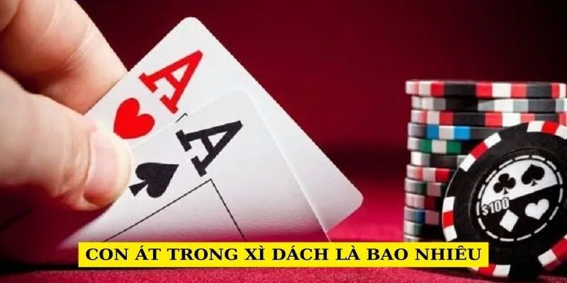 con-at-trong-xi-dach-la-bao-nhieu