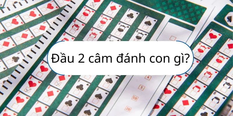 dau-2-cam-hom-sau-danh-lo