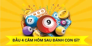 dau-4-cam-hom-sau-danh-con-gi-thi-chuan