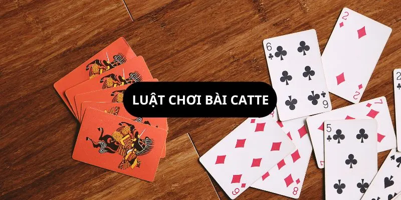 luat-choi-bai-catte