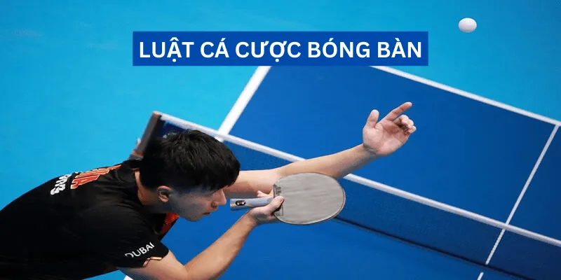 luat-ca-cuoc-bong-ban